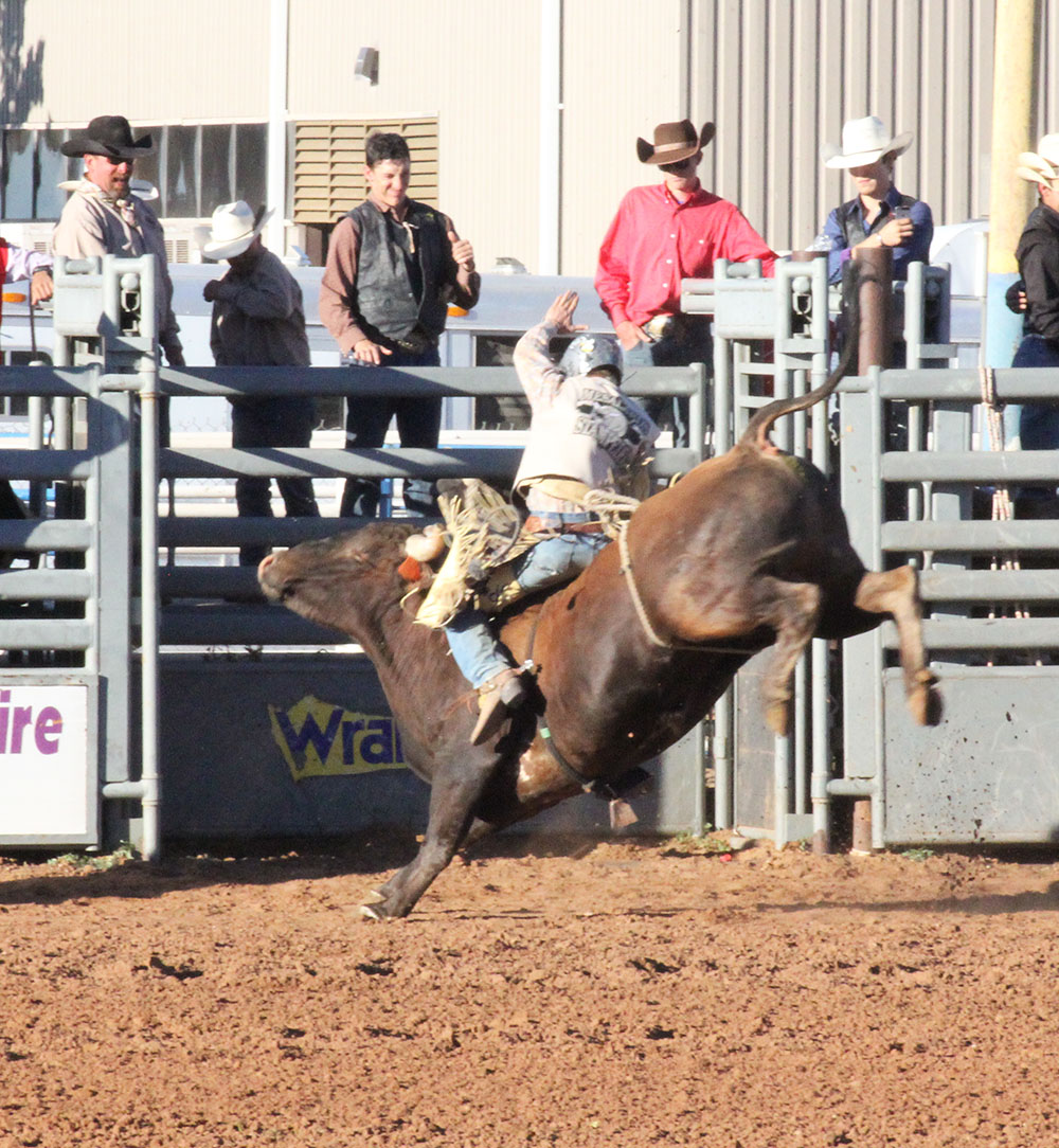 Mesalands Rodeo Team crowned reserve champions and wins bull riding